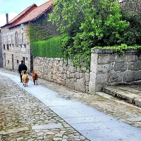Casa Do Penedo Castle House Holiday home *