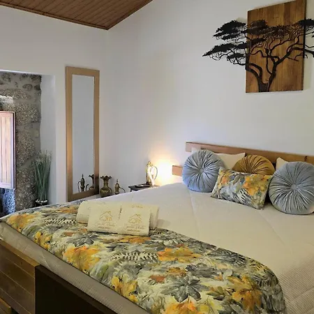 Casa Do Penedo Castle House Holiday home