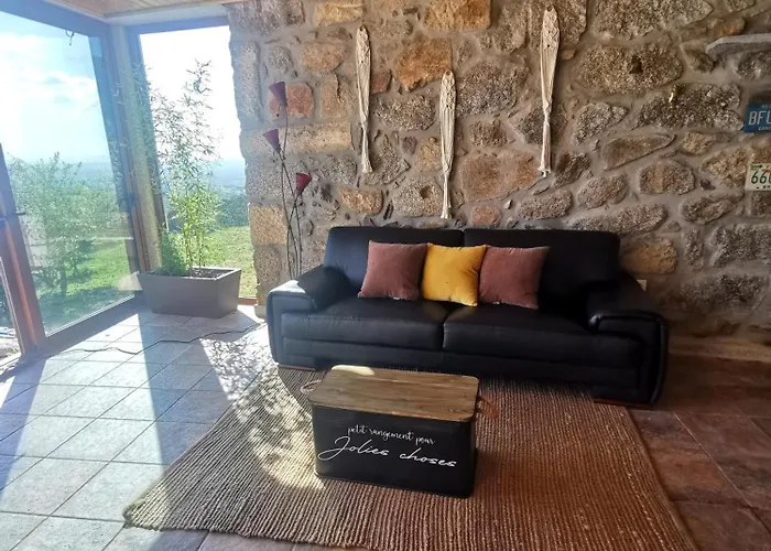 Casa Do Penedo Castle House 別荘