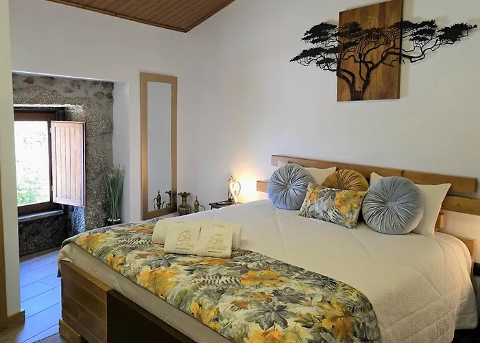 Casa Do Penedo Castle House 別荘